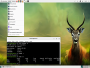 MATE Kinetic Kudu